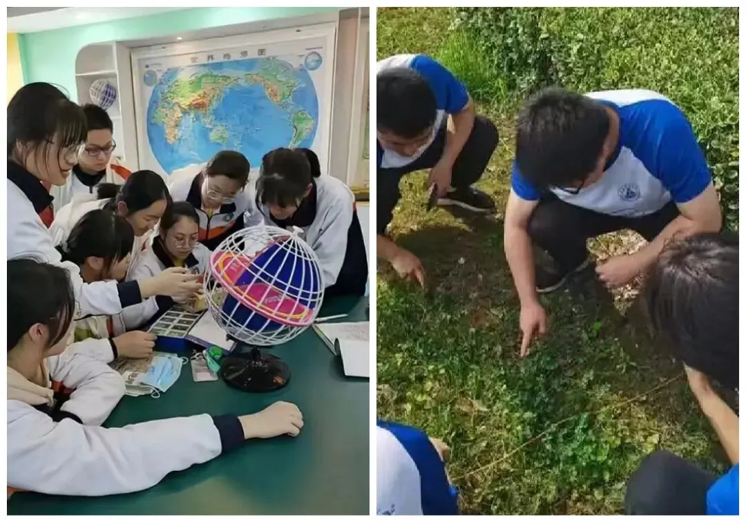 生物地理不再计入中考总分,学生还会去正儿八经学?-第4张图片-四季读书网