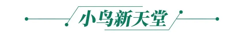 2026年肇庆中考报名时间定了!报名入口丨早安,肇庆-第7张图片-四季读书网
