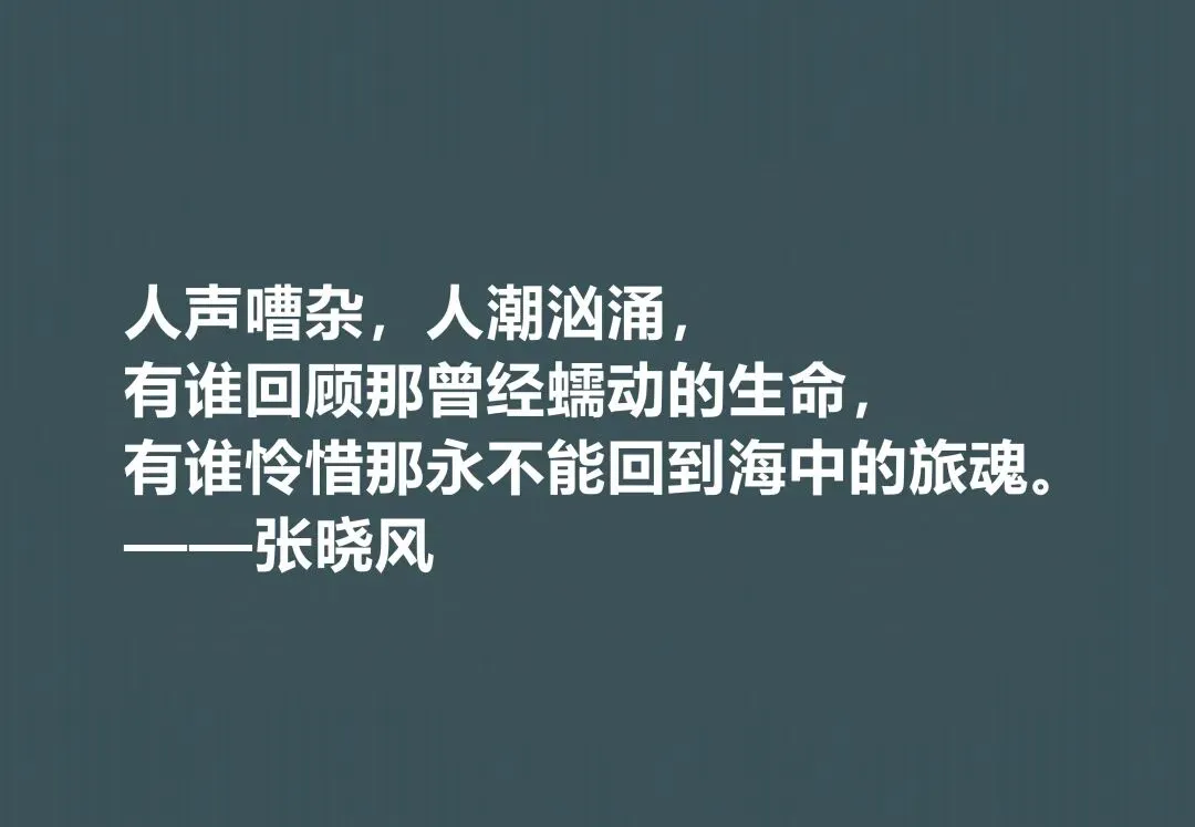 还记得小学语文试卷上那个散文作家吗?-第11张图片-四季读书网 还记得小学语文试卷上那个散文作家吗?-第11张图片-四季读书网