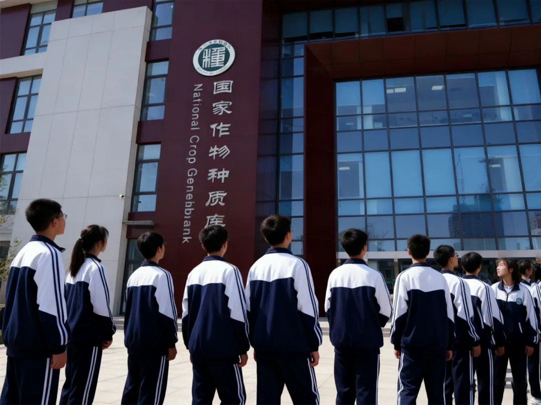 2025年高考真题 新题型汇总-第4张图片-四季读书网