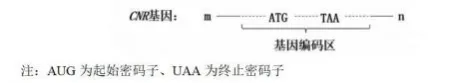 哈三中2026年高三学年第一次模拟考试生物学试题和答案(附word下载) ⊙-第8张图片-四季读书网