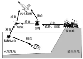 哈三中2026年高三学年第一次模拟考试生物学试题和答案(附word下载) ⊙-第13张图片-四季读书网