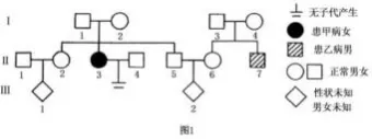 哈三中2026年高三学年第一次模拟考试生物学试题和答案(附word下载) ⊙-第18张图片-四季读书网