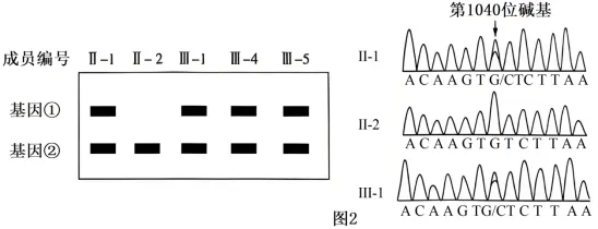 黑龙江省实验中学2026届高三学年联合模拟考试生物学学科试题和解析(附word下载) ⊙ 第13张