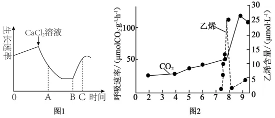 黑龙江省实验中学2026届高三学年联合模拟考试生物学学科试题和解析(附word下载) ⊙ 第14张