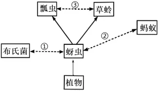 黑龙江省实验中学2026届高三学年联合模拟考试生物学学科试题和解析(附word下载) ⊙ 第15张