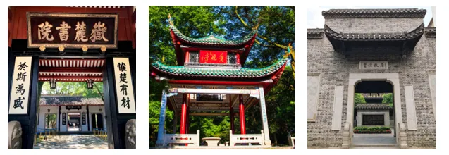2025年中考真题及模考试题分类汇编-非连续性文本阅读(长沙专用) 第8张 2025年中考真题及模考试题分类汇编-非连续性文本阅读(长沙专用) 第8张