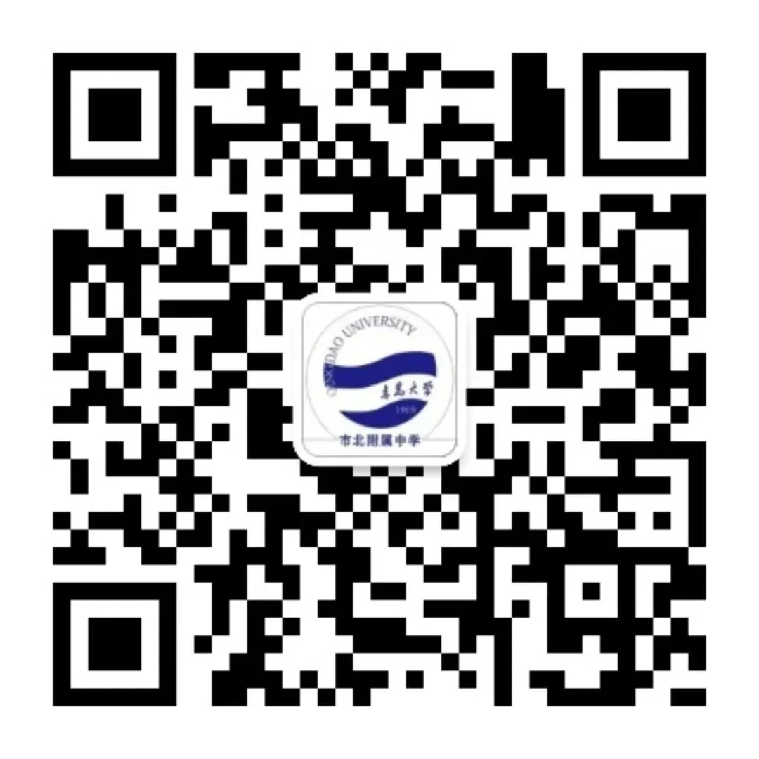 “三化”赋能,备战中考—青大市北附中数学组主题教研活动展示 第8张