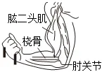 2024年河南省中考物理试卷 第3张