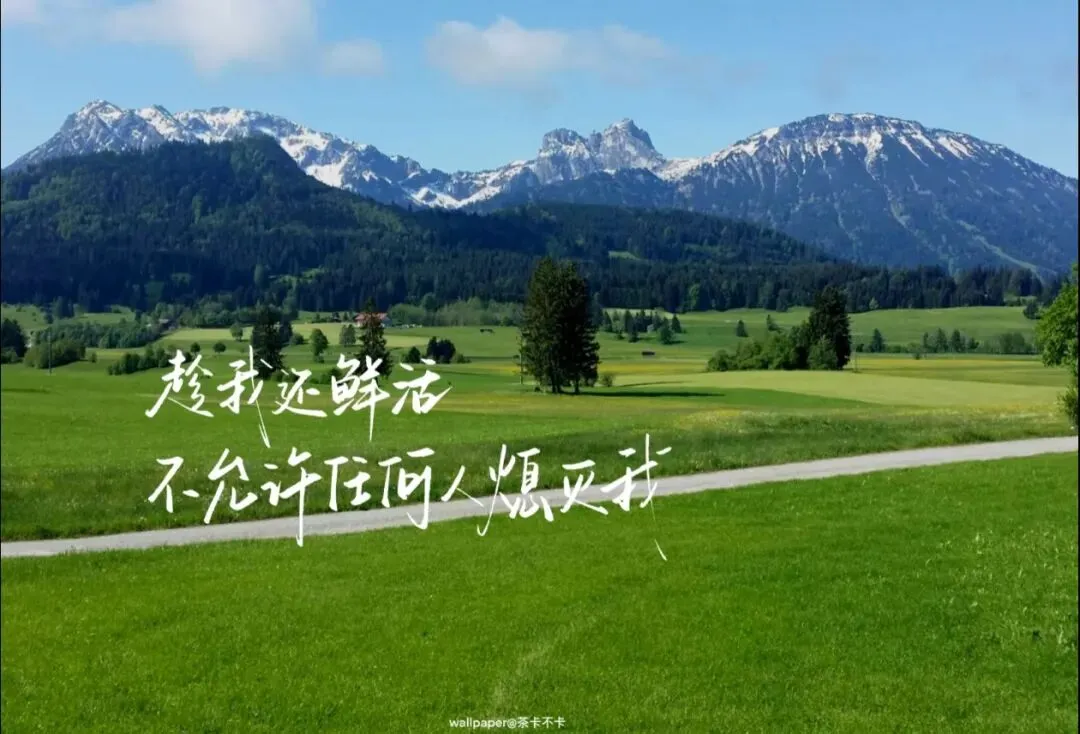 2026届高三名校联考模考59分、58分作文,思路超优,必读!!-第2张图片-四季读书网