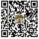 2025高考试卷全国一卷数学真题试题-第4张图片-四季读书网
