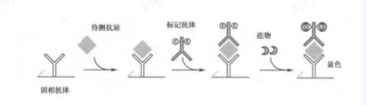 【检验职称真题 ·汇总2】 第2张