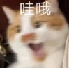 中山中考的录取顺序是什么?先录取B计划还是A计划? 第12张 中山中考的录取顺序是什么?先录取B计划还是A计划? 第12张