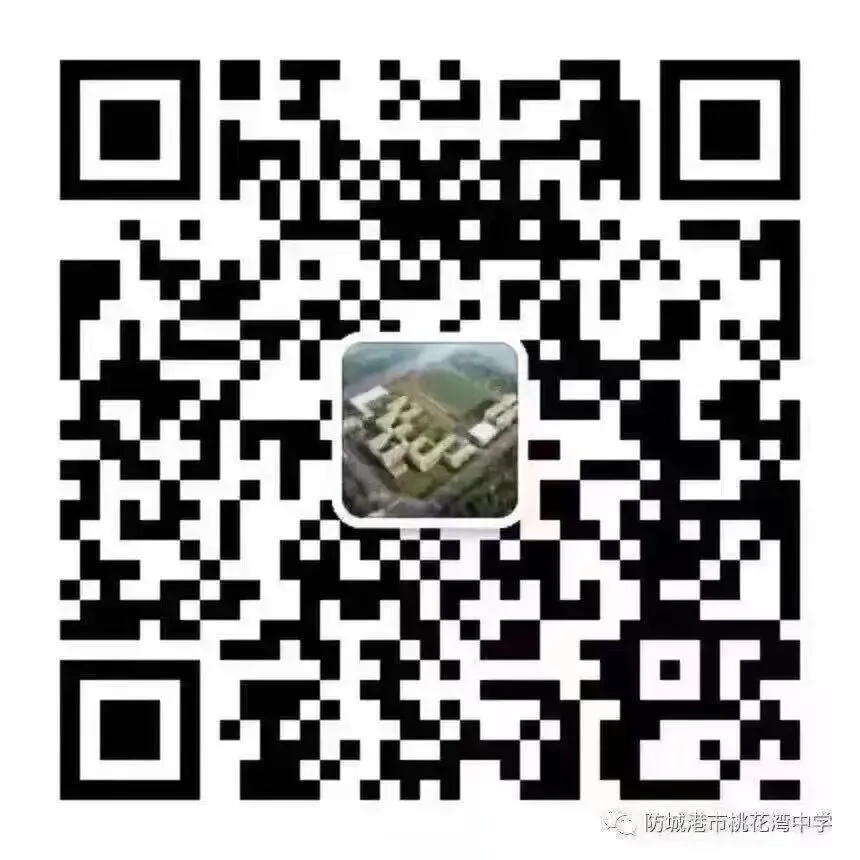 防城港市桃花湾中学2026年中考百日誓师大会圆满举行 第56张