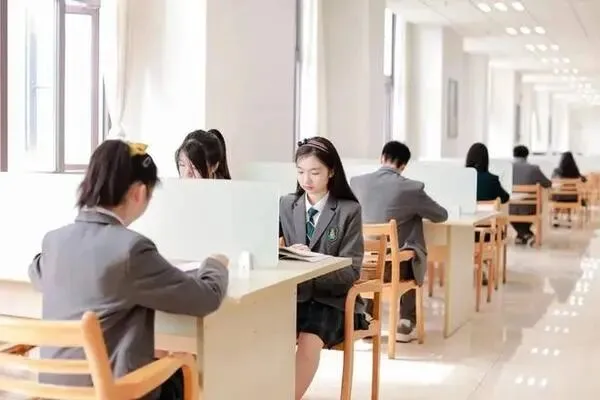 中考后才想转国际学校?你以为的退路,全是坑! 第8张