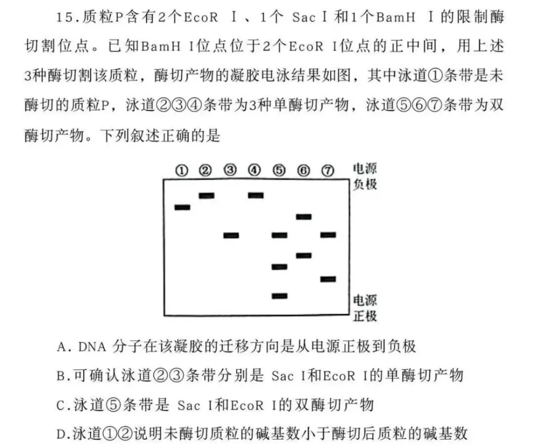 【福建省份】2025年高考生物基因工程真题讲解-第6张图片-四季读书网