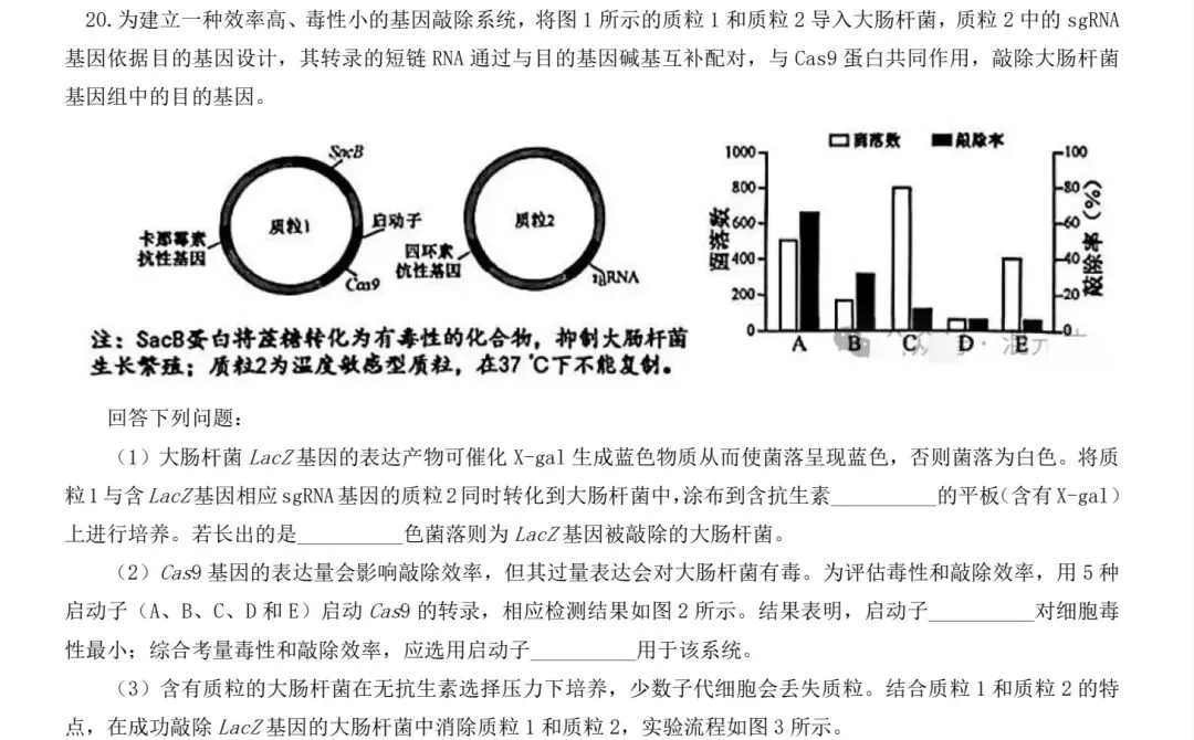 【福建省份】2025年高考生物基因工程真题讲解-第7张图片-四季读书网