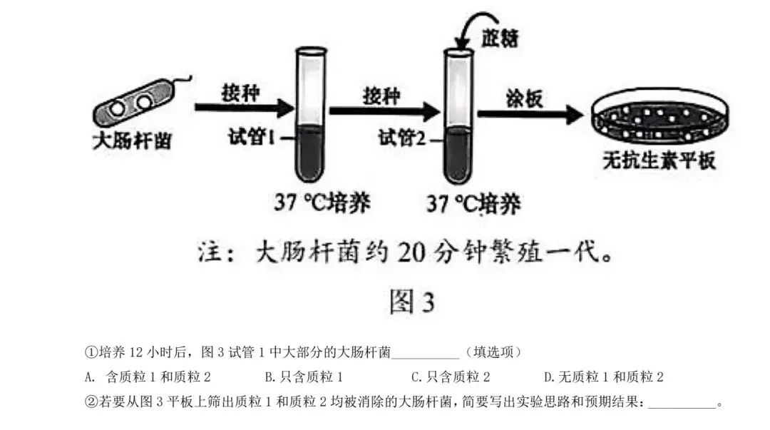 【福建省份】2025年高考生物基因工程真题讲解-第8张图片-四季读书网