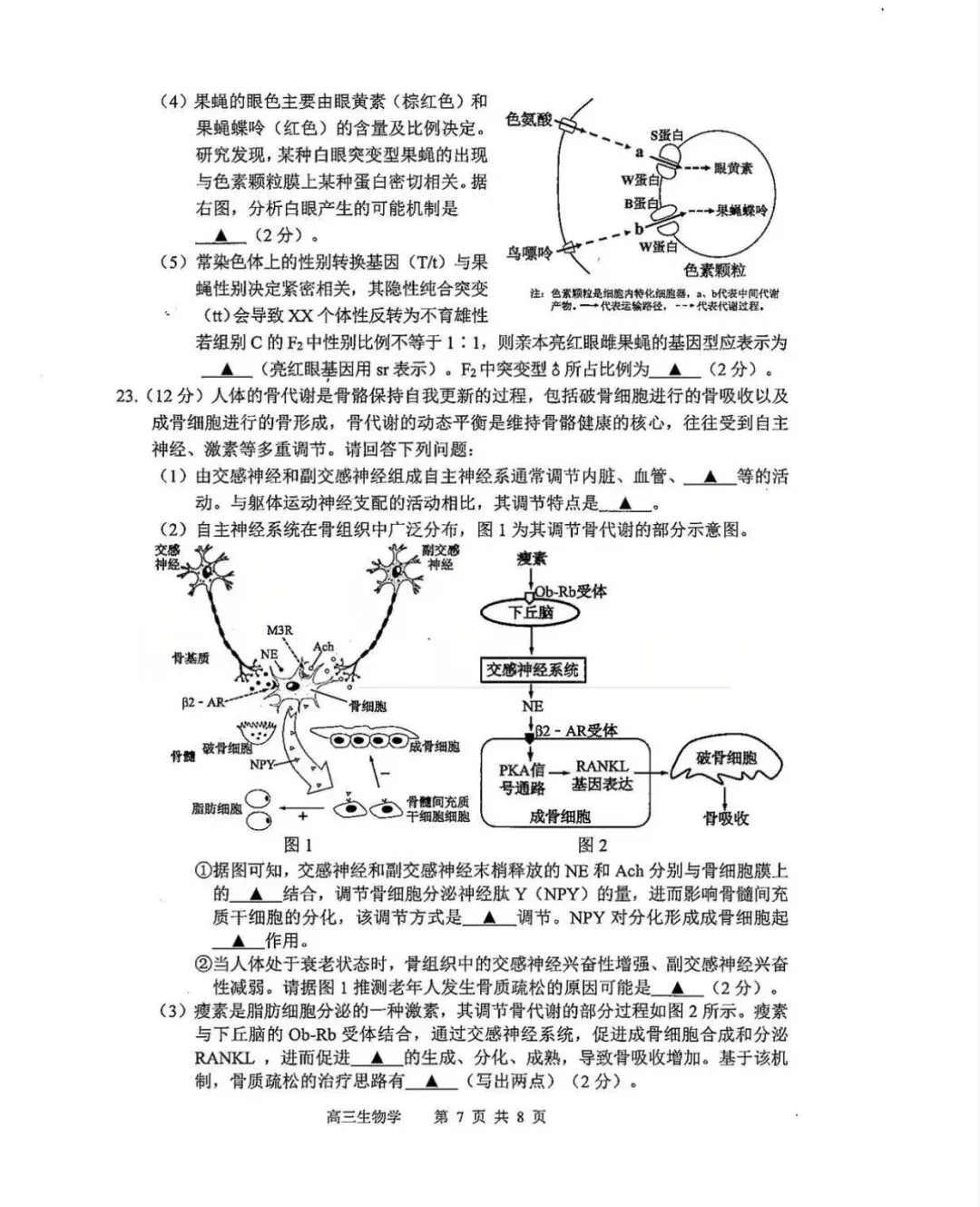 苏锡常镇高三一模 生物地理试卷+答案 第10张