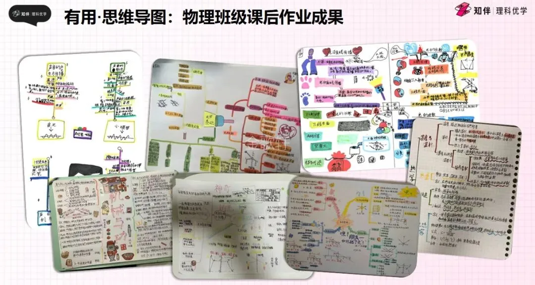 中考物理/化学封神课来啦!8个月覆盖100%考点,亲手做实验的学习法太绝了!-第8张图片-四季读书网