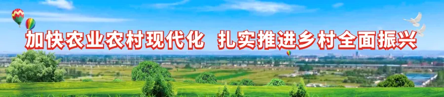 中宁二中举行2026届九年级中考百日誓师大会-第12张图片-四季读书网