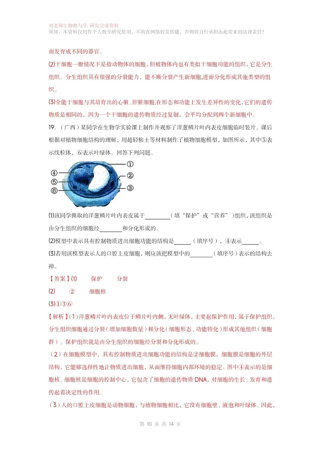 最新生物中考专题复习共15个专题练习+答案和解析word文档 专题01生物和细胞 第11张