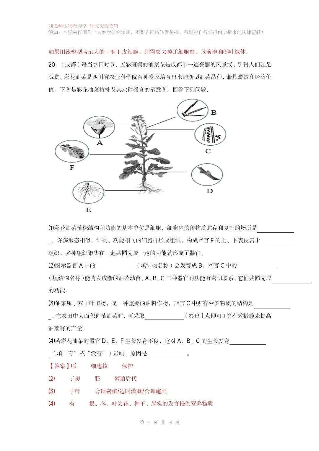 最新生物中考专题复习共15个专题练习+答案和解析word文档 专题01生物和细胞 第12张