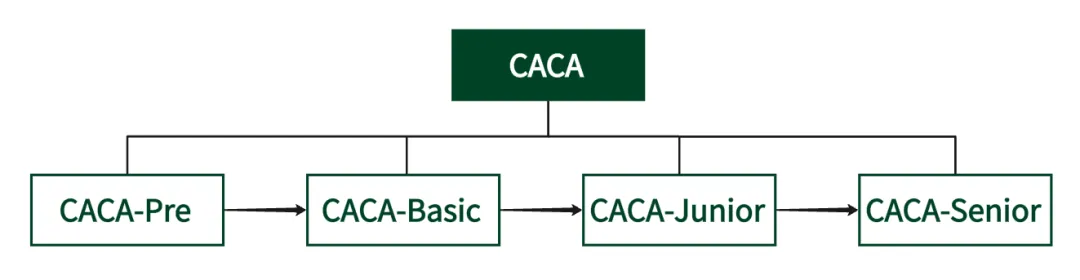 CACA-Pre 模拟测试 第2张