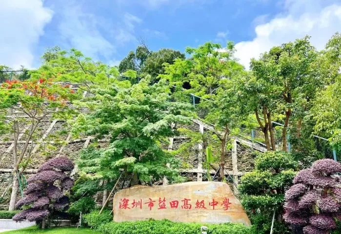 【中考】最新!2026年深圳公办高中招生QQ群汇总! 第45张