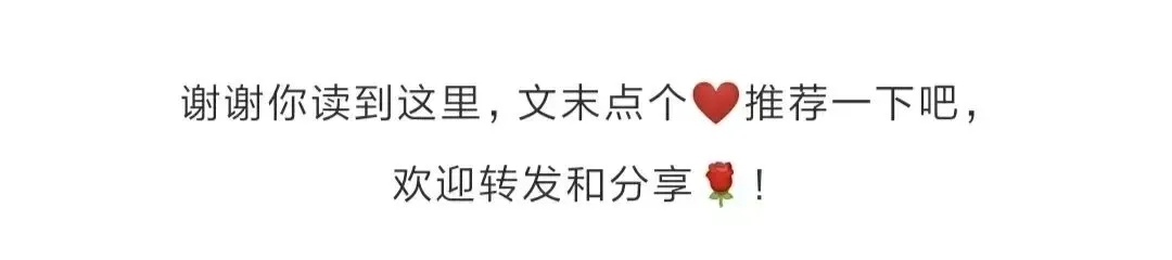 中考作文指导+万能素材+范文 第3张