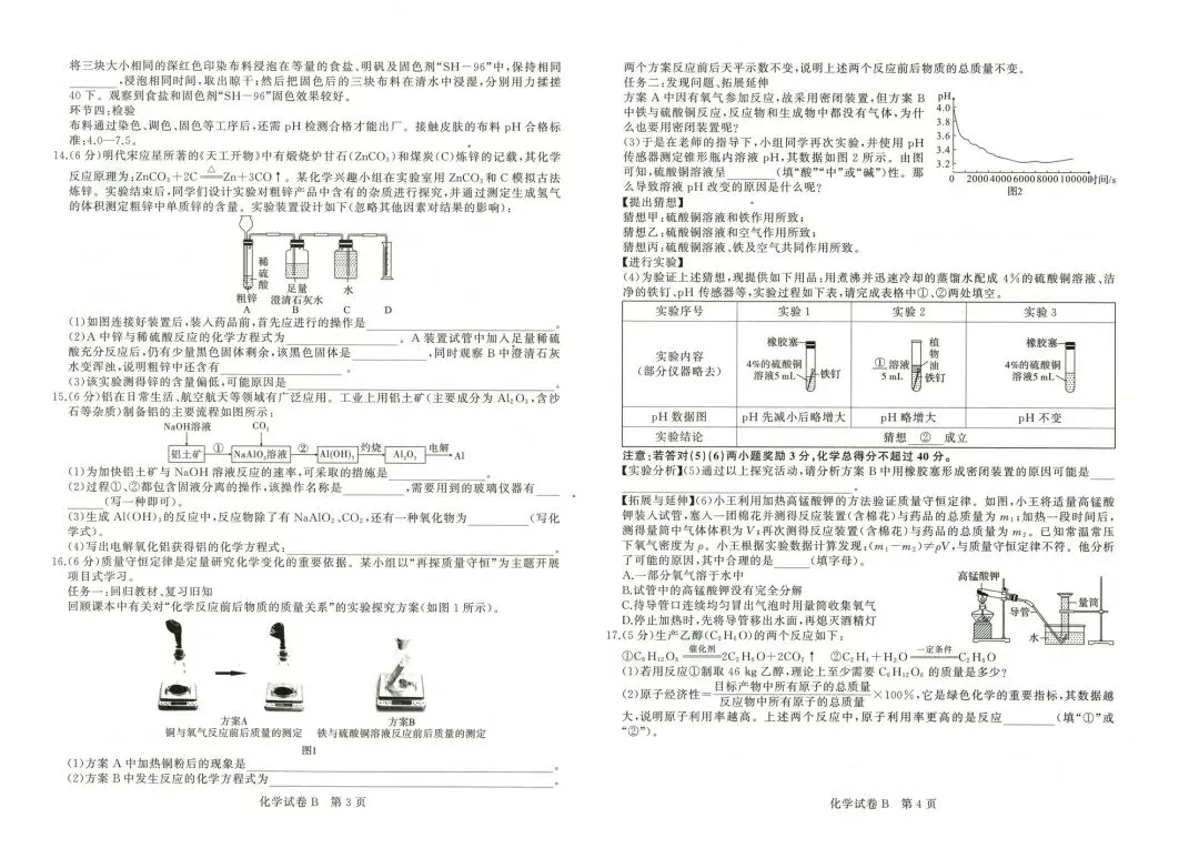 2026年安徽省中考学业水平检测(B)各科试题及答案 第6张