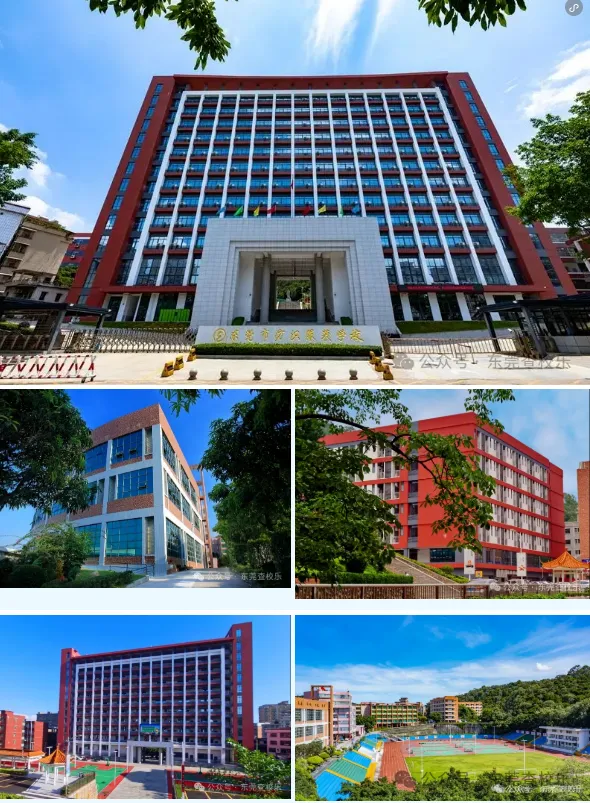 东莞中考家庭必看!公办中职汇总(升学率、简介、分数线) 第22张
