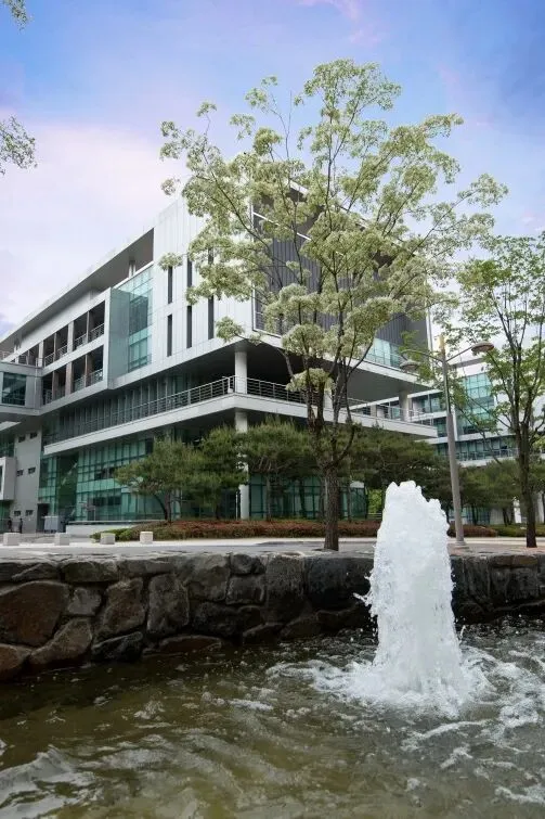 中考分流下的清醒选择:韩国订单式留学,不是镀金,是给孩子一条稳路 第3张