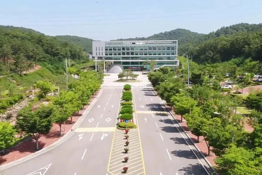 中考分流下的清醒选择:韩国订单式留学,不是镀金,是给孩子一条稳路 第4张