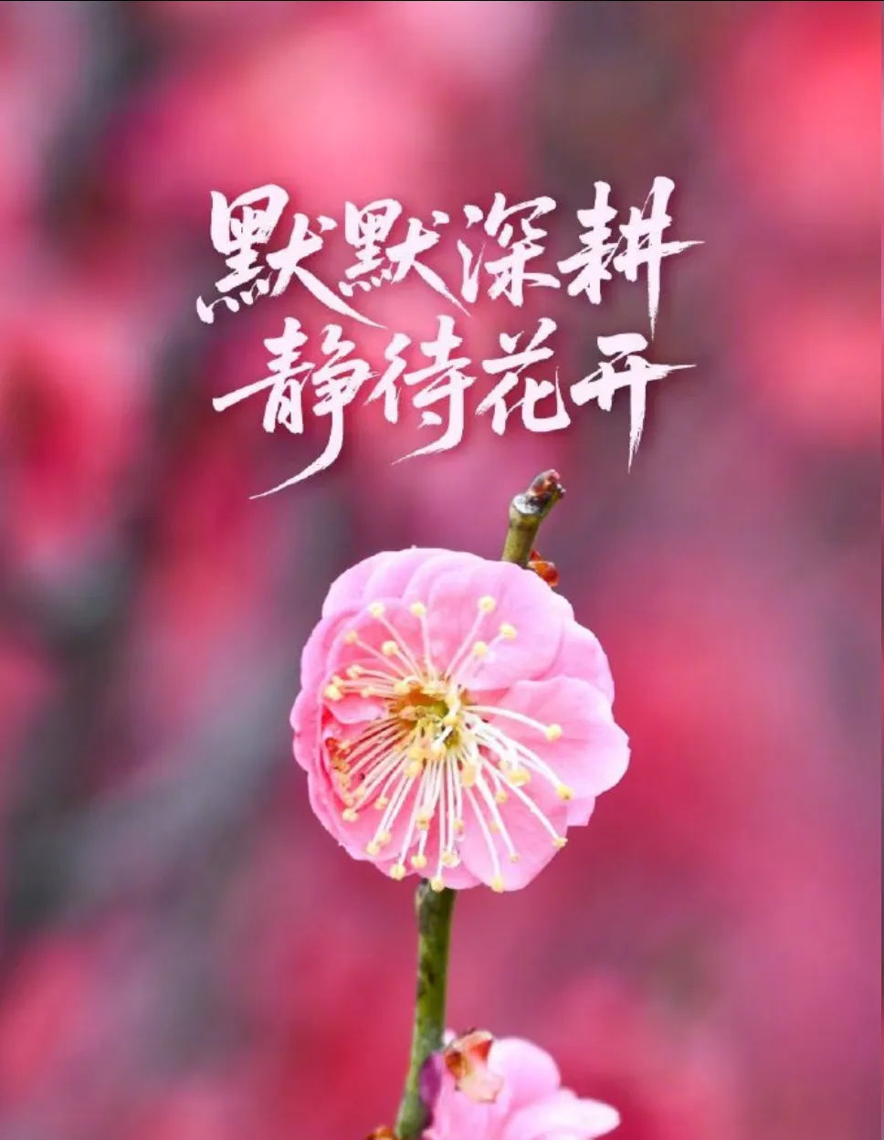 【真题速判】专题四十八 七类典型侵权责任(二)——答案即是复习笔记 第2张