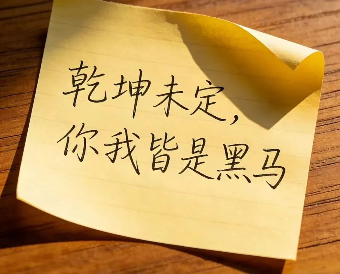 中考冲刺|乾坤未定,你我皆是黑马!致每一位奔赴考场的少年 第6张 中考冲刺|乾坤未定,你我皆是黑马!致每一位奔赴考场的少年 第6张
