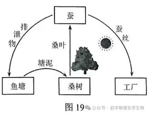 2026年中考化学第一次模拟试卷(含答案),题型全面,有点难度! 第10张
