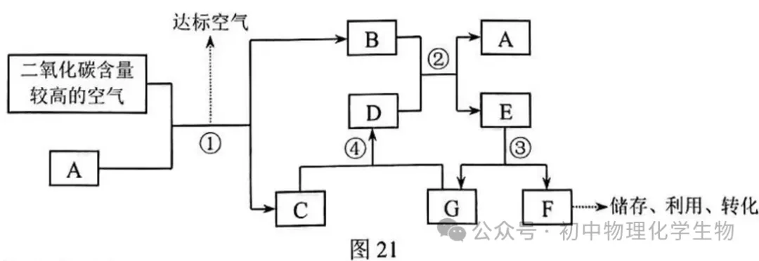 2026年中考化学第一次模拟试卷(含答案),题型全面,有点难度! 第12张