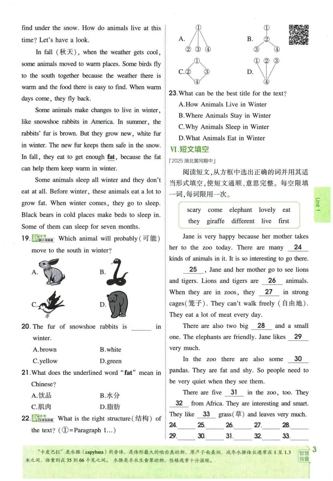 26春《5年中考·3年模拟》初中英语七年级下册-第17张图片-四季读书网