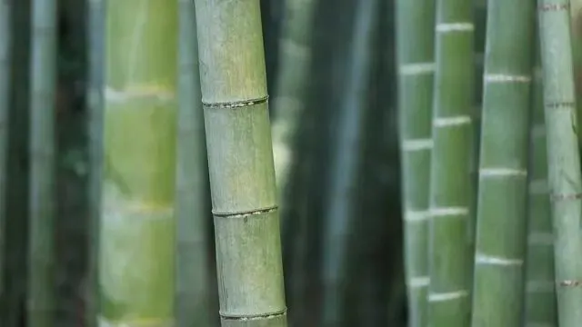 初中老师最焦虑的,是中考志愿填报指导 第2张