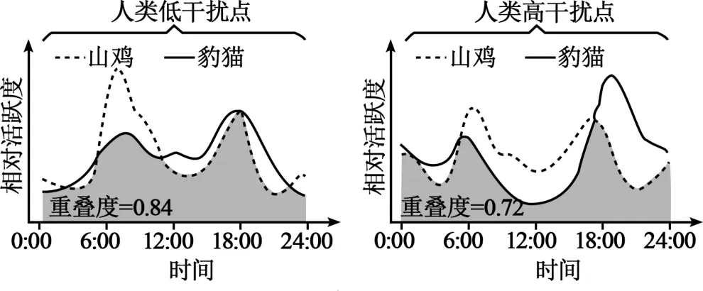 2026届广东省梅州市高三一模生物试卷 (3月) 第24张