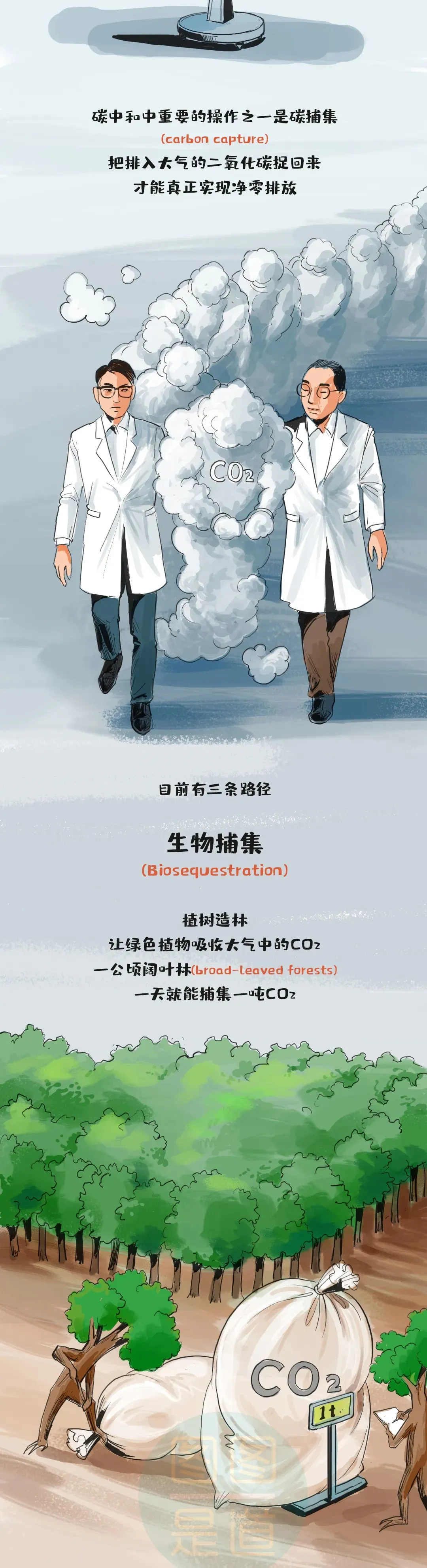 中考化学——碳中和、碳达峰等含义 第4张