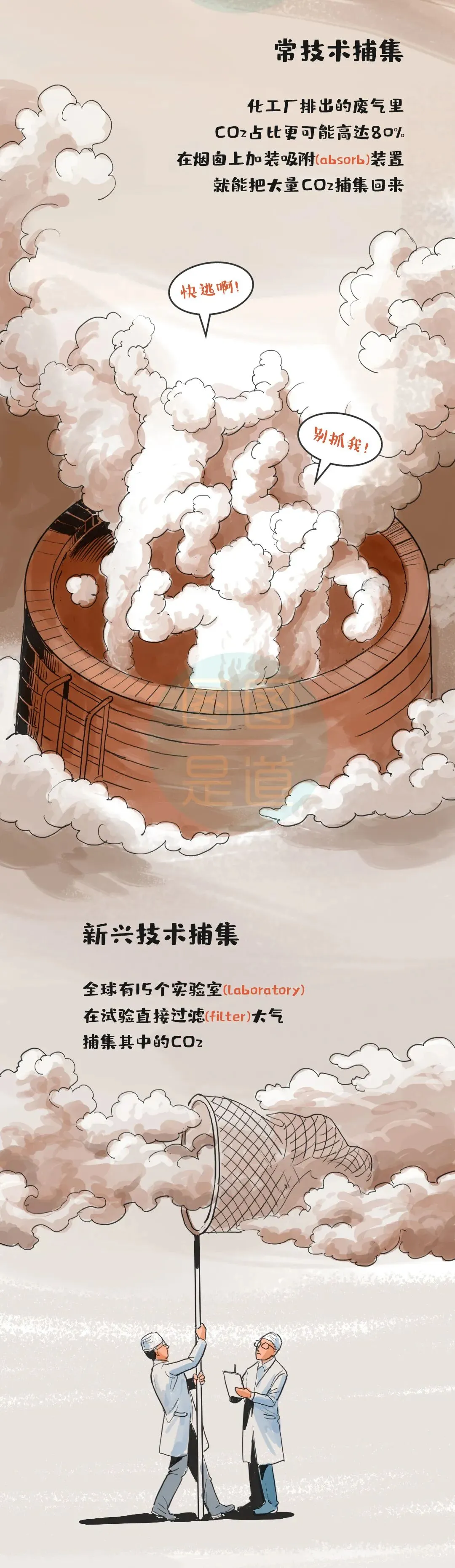 中考化学——碳中和、碳达峰等含义 第5张