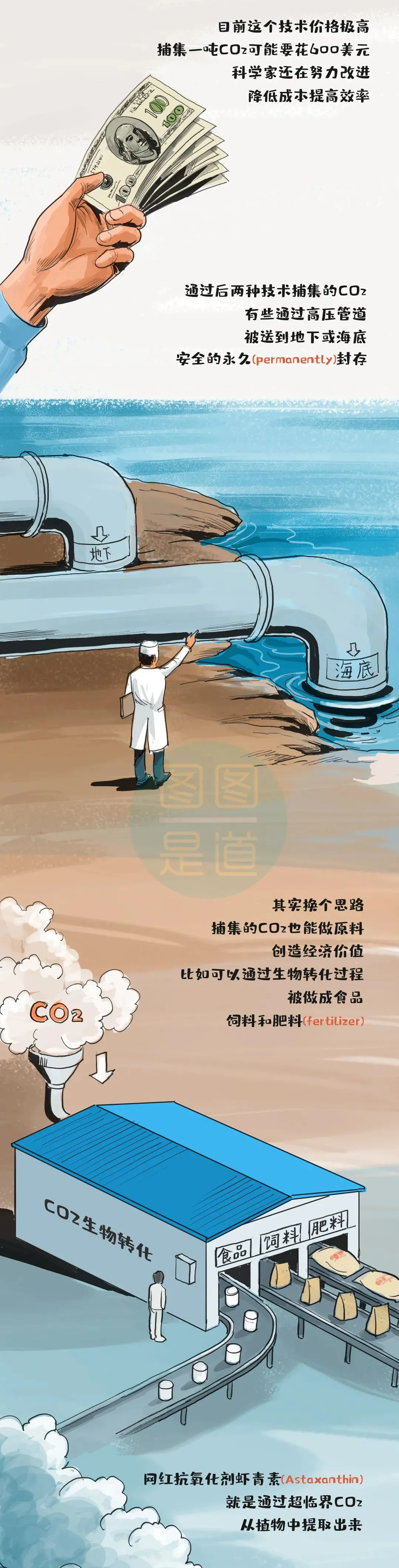 中考化学——碳中和、碳达峰等含义 第6张
