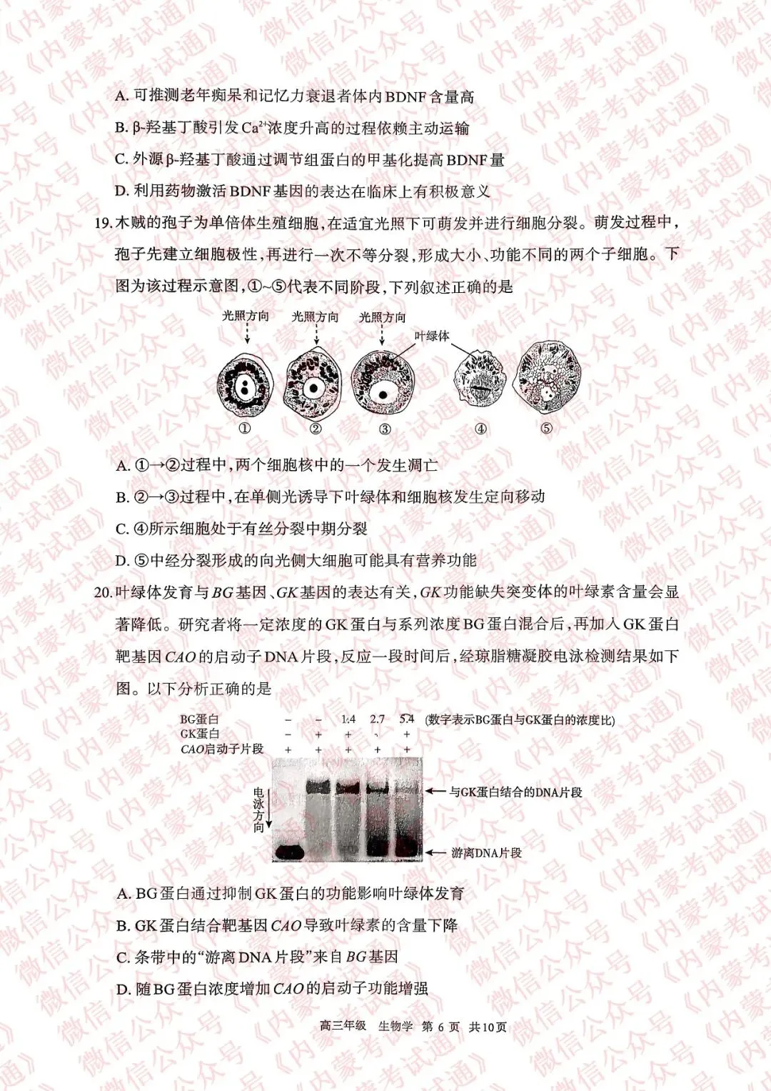 2026年内蒙古呼和浩特市高三一模试卷及答案【全套高清版】 第82张