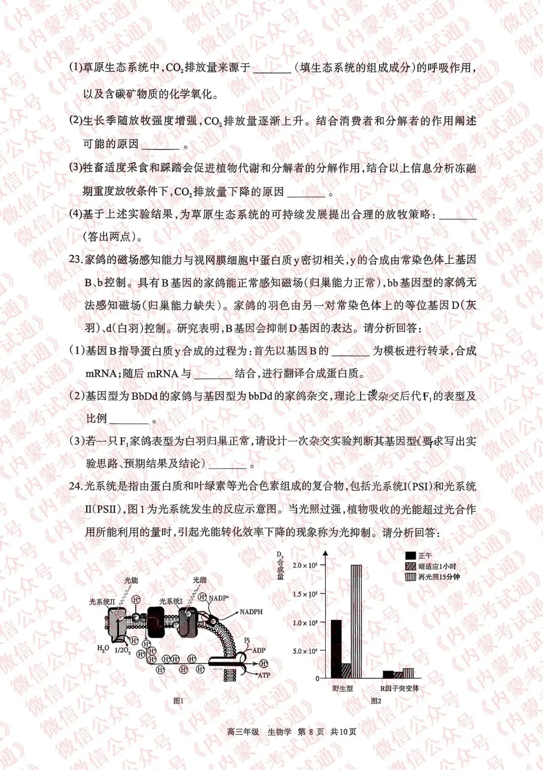 2026年内蒙古呼和浩特市高三一模试卷及答案【全套高清版】 第84张