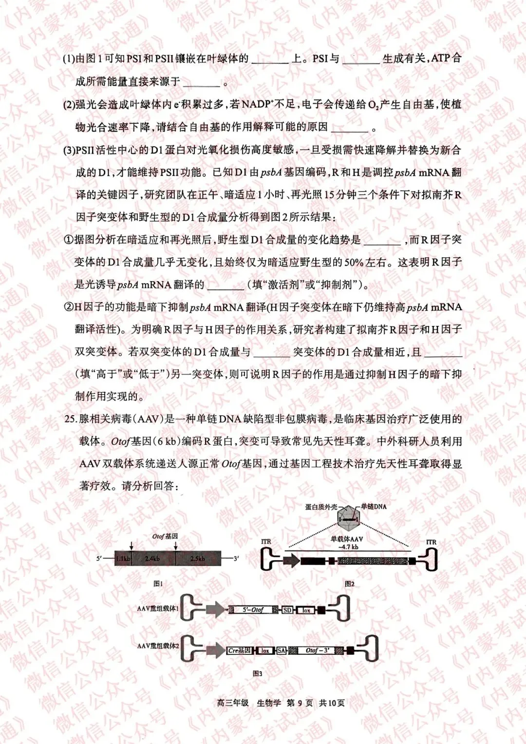 2026年内蒙古呼和浩特市高三一模试卷及答案【全套高清版】 第85张