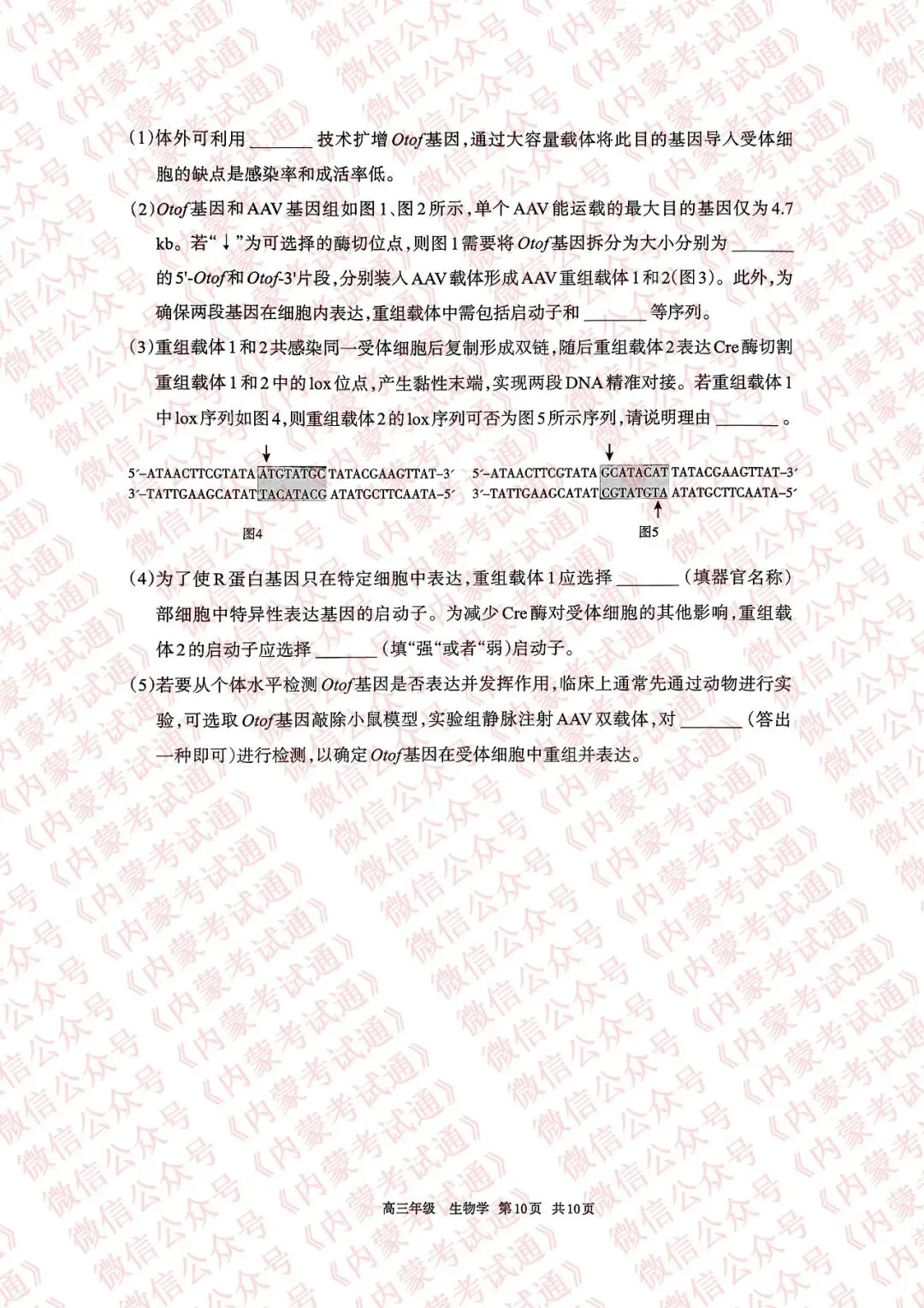 2026年内蒙古呼和浩特市高三一模试卷及答案【全套高清版】 第86张