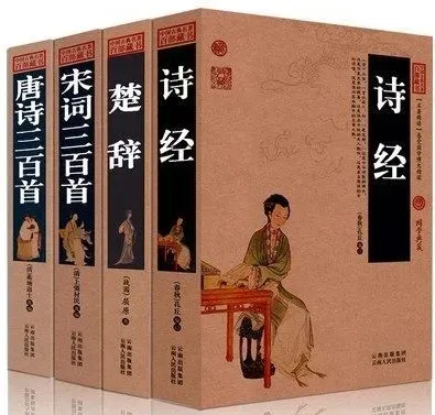 中考传统文化篇: 我爱学古文 第2张