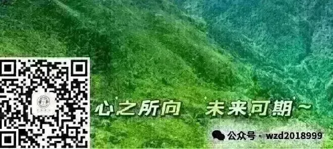 中考还有90天,如何快速提升英语分数! 第3张